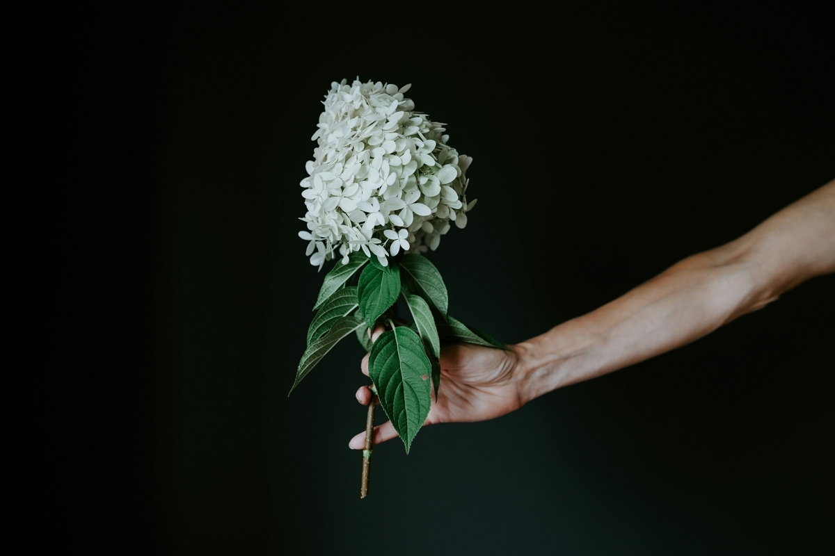 귀여운 순간 포착