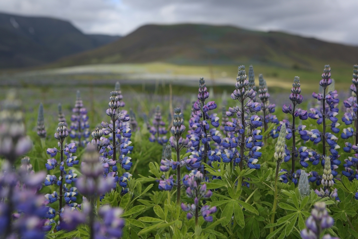 햇살 가득한 하루