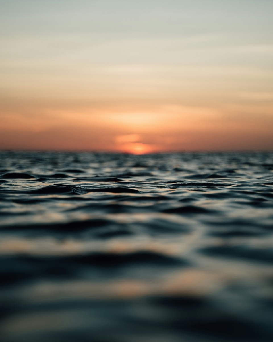 기분 좋은 산책길